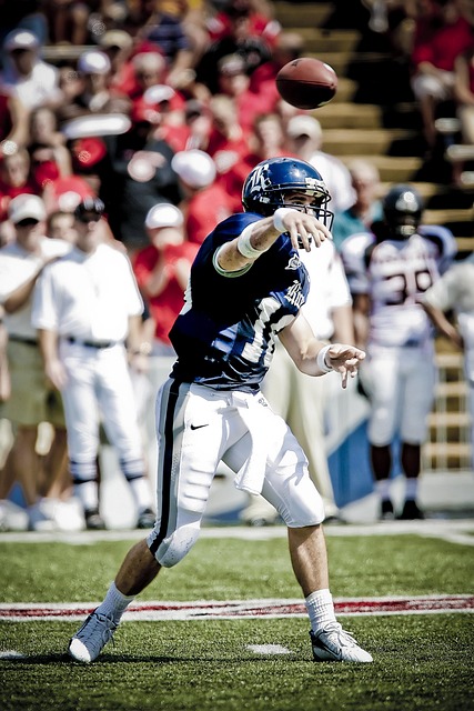 负着个人职 负着个人职